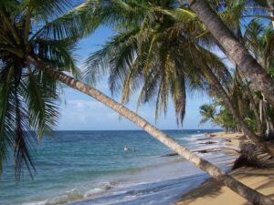 Arrecife beach, Geckoes Lodge, Cocles, Puerto Viejo, Costa Rica