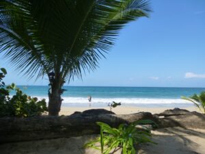 Arrecife lunch spot, Geckoes Lodge, Cocles, Puerto Viejo, Costa Rica