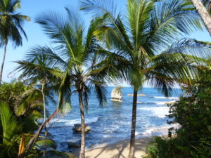 Beach to escape to Manzanillo