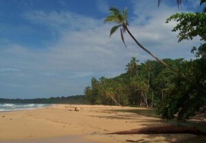 Playa Grande Puerto Viejo Costa Rica