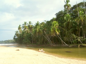 River at Playa Grande,Geckoes Lodge, Cocles, Puerto Viejo, Costa Rica